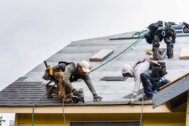 Professional Roofing technician working in Postville, IA